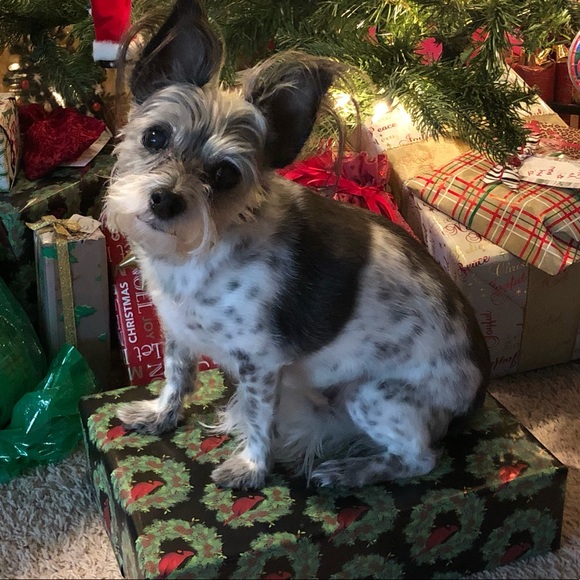 I give free shares for ♥️ - Picture 6 of 9